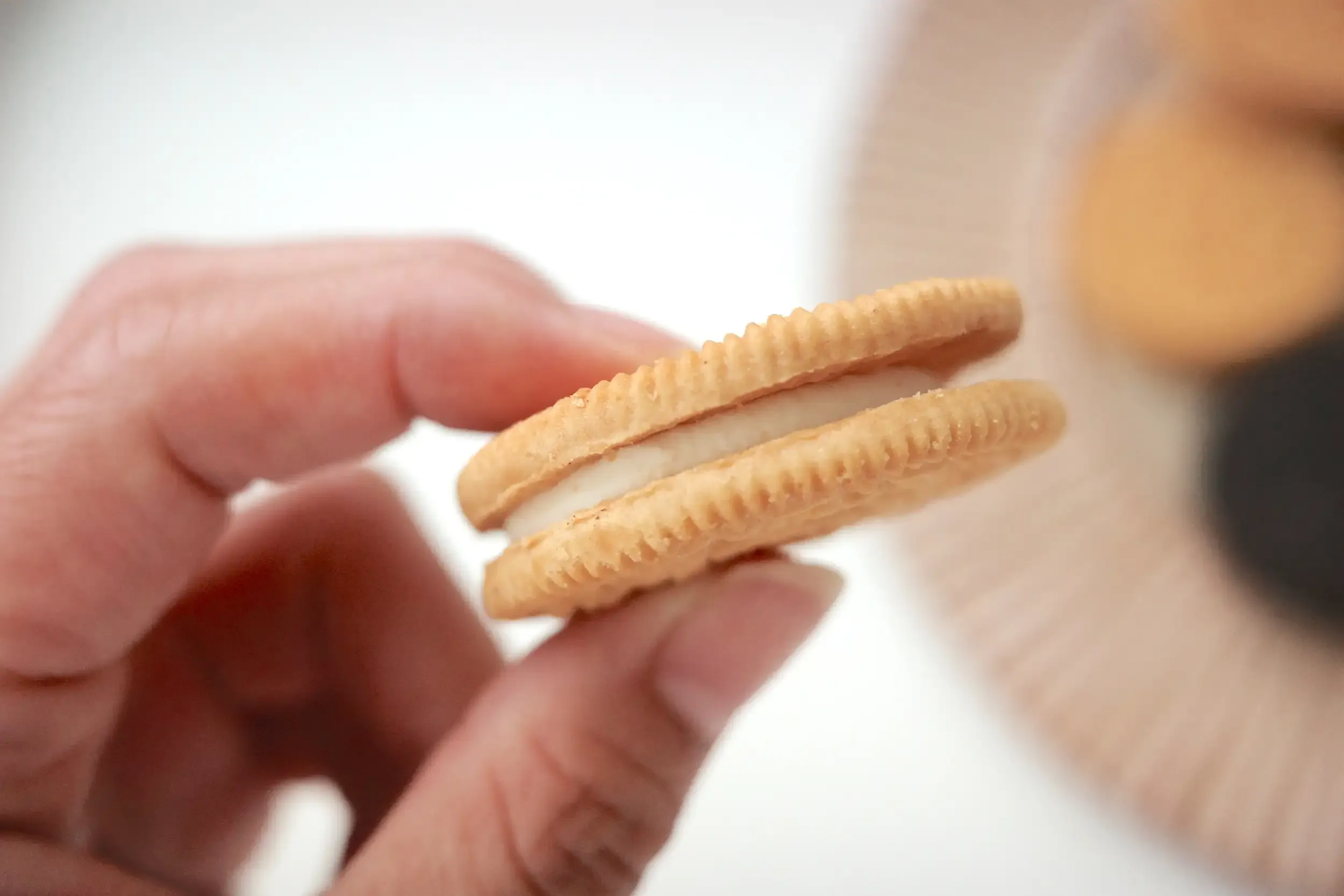 淡い色のクッキーに白いクリーム