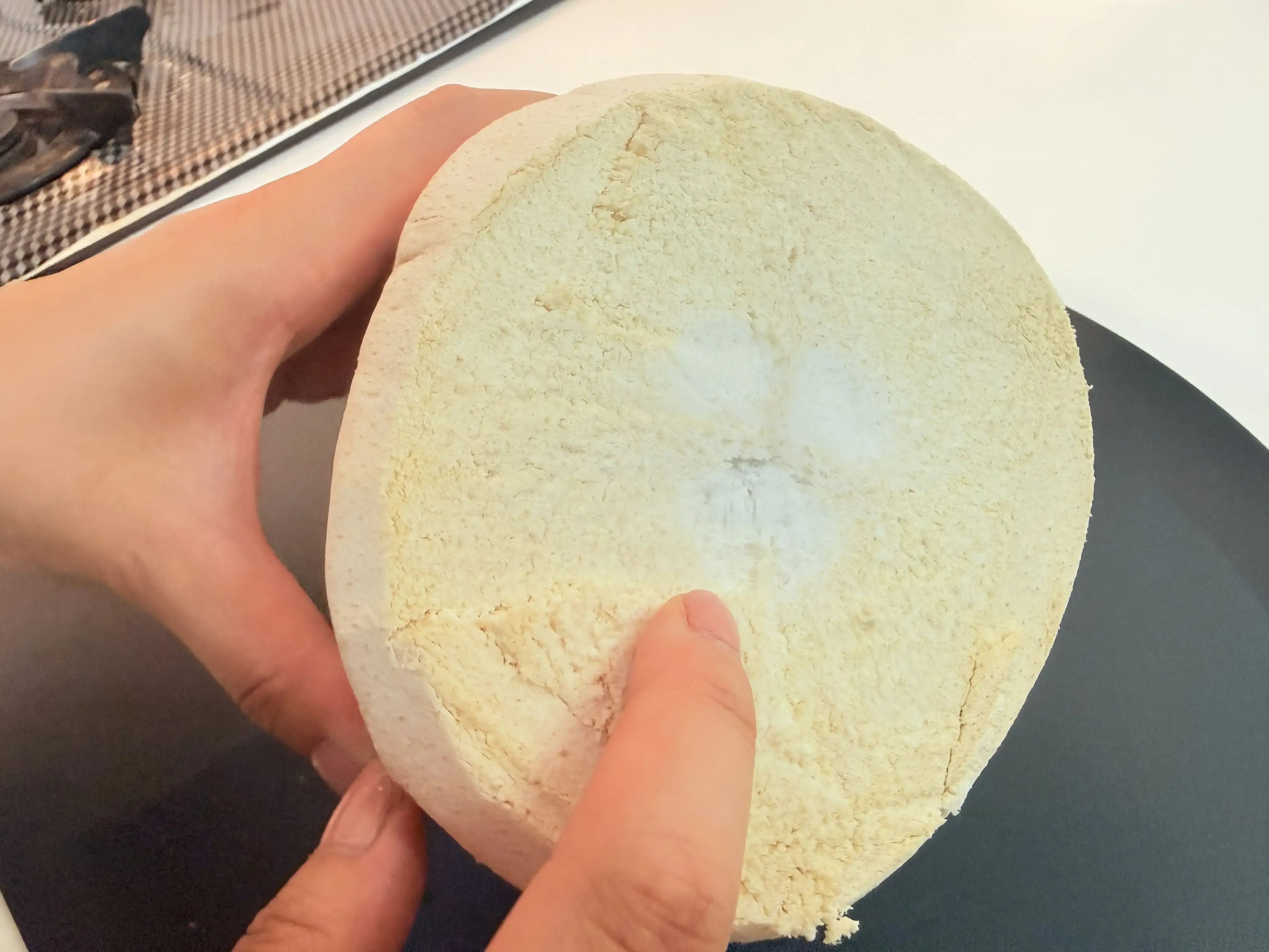 ココナッツの断面