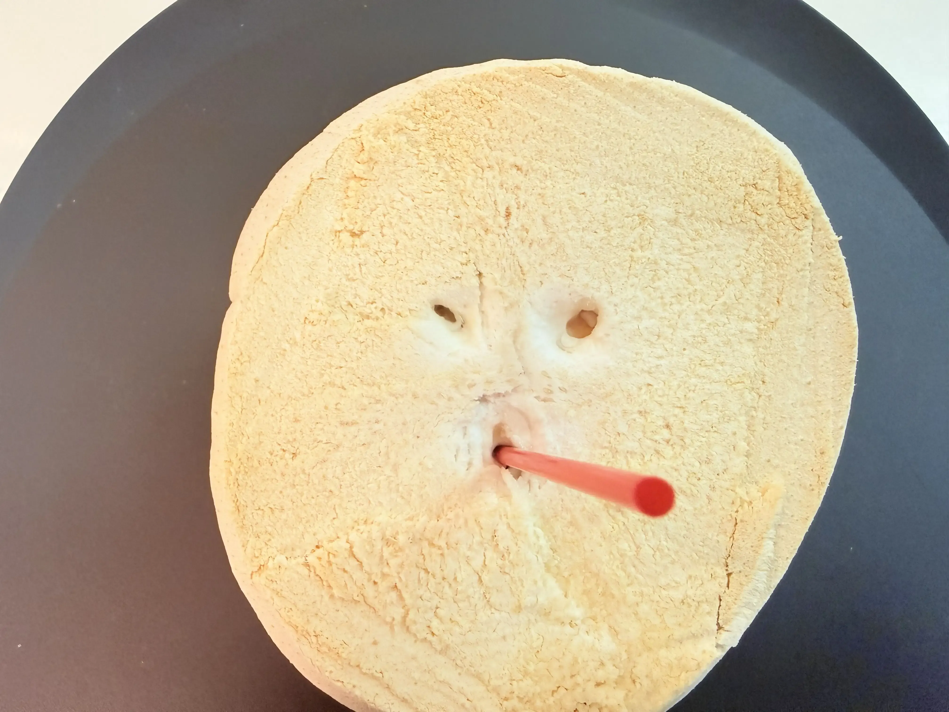 ココナッツにストローを刺す