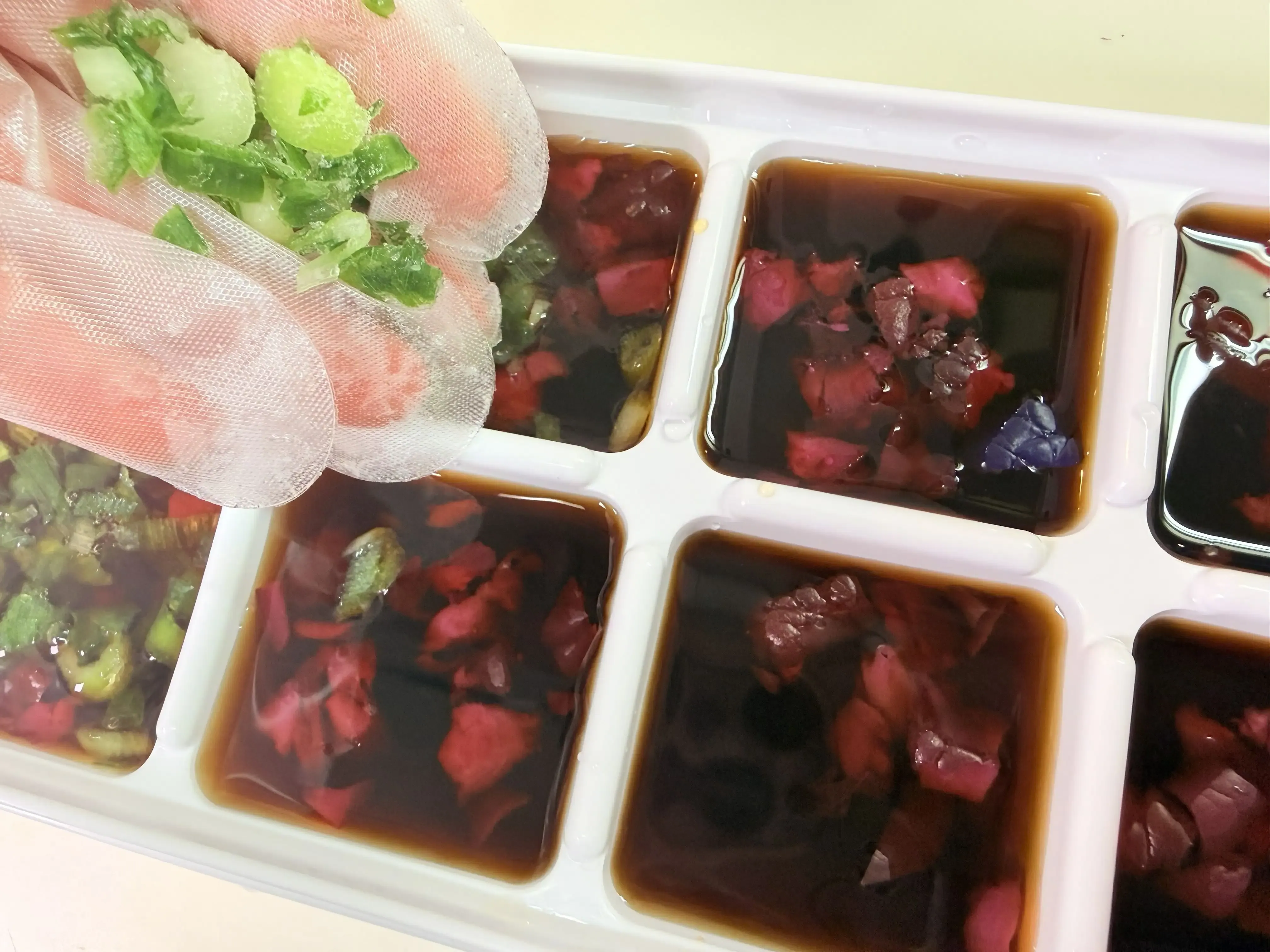 めんつゆ・しば漬け・冷凍小ねぎを製氷機へ