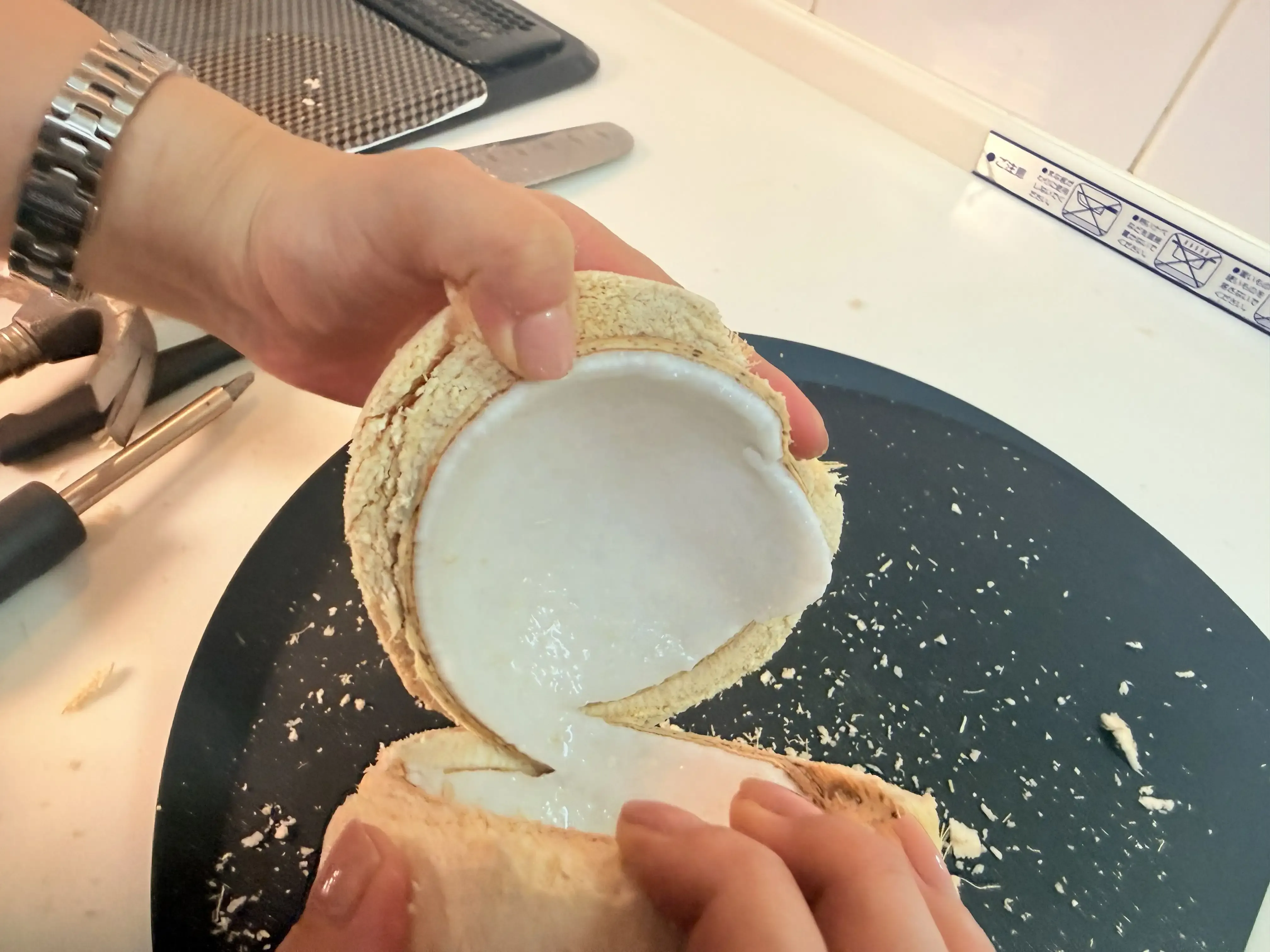 生ココナッツに感動