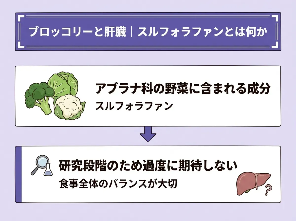 ブロッコリーと肝臓|スルフォラファンとは何か
