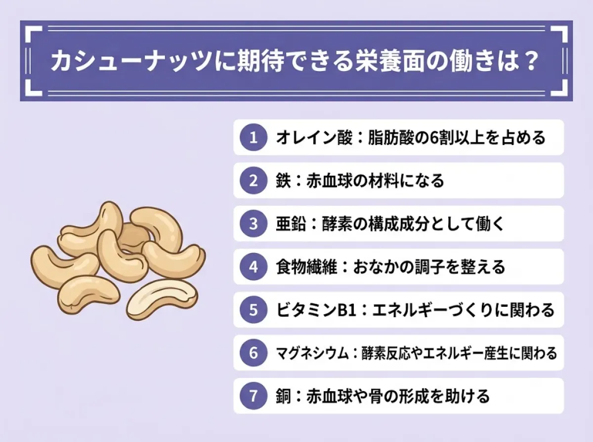 カシューナッツに期待できる栄養面の働きは?