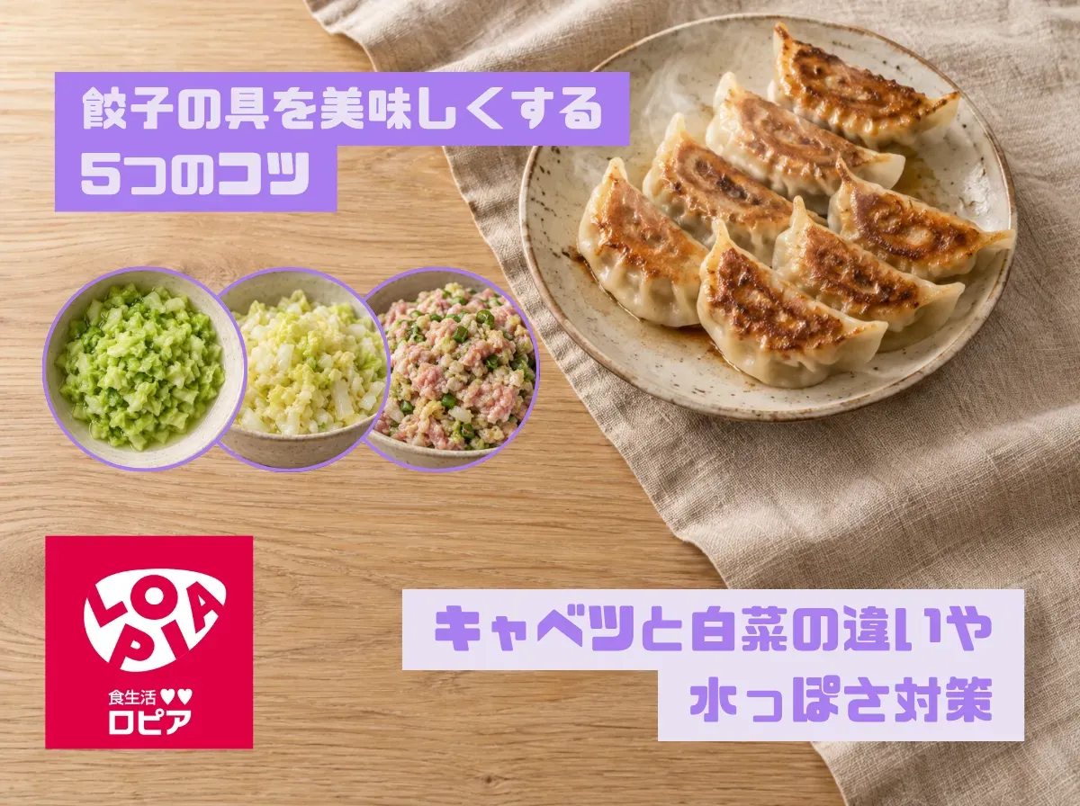 餃子の具を美味しくする5つのコツ｜キャベツと白菜の違いや水っぽさ対策