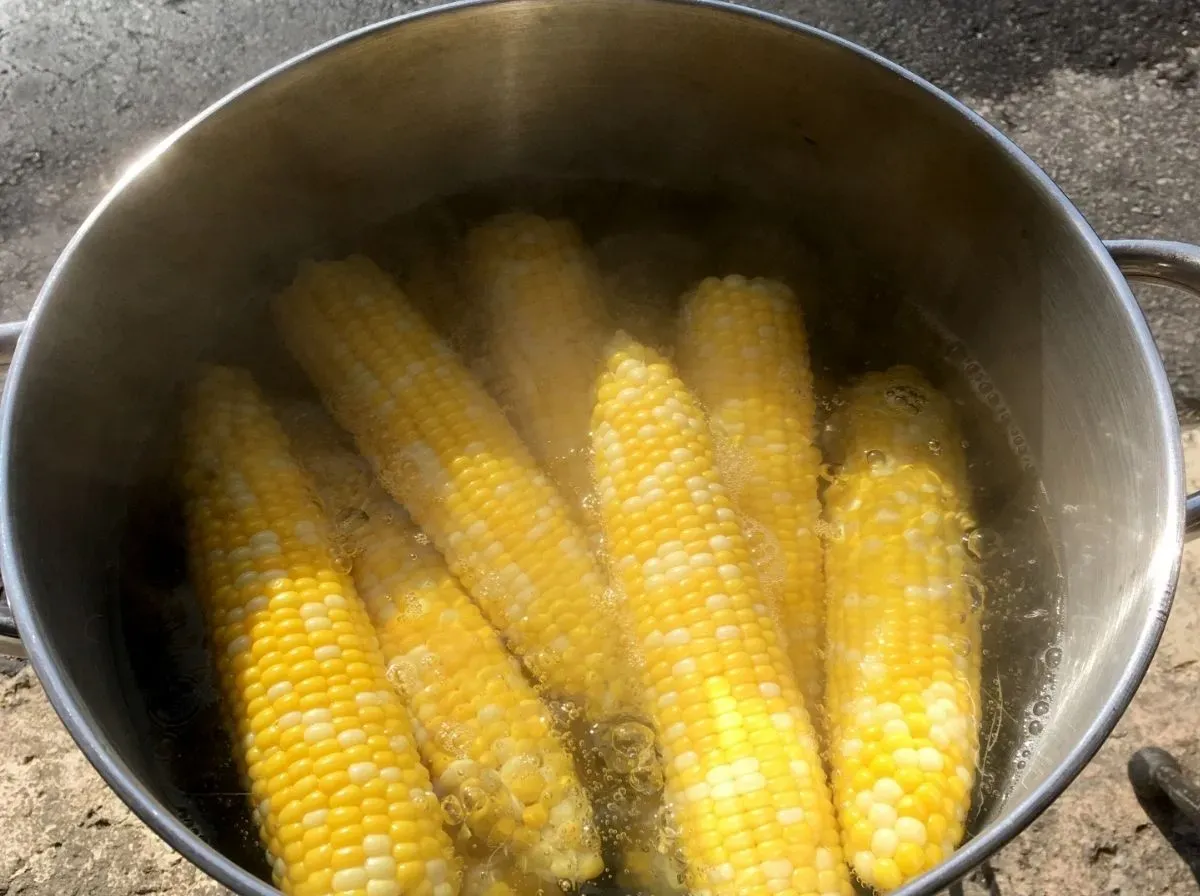 とうもろこしを茹でる