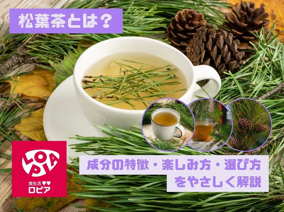 松葉茶とは？成分の特徴・楽しみ方・選び方をやさしく解説