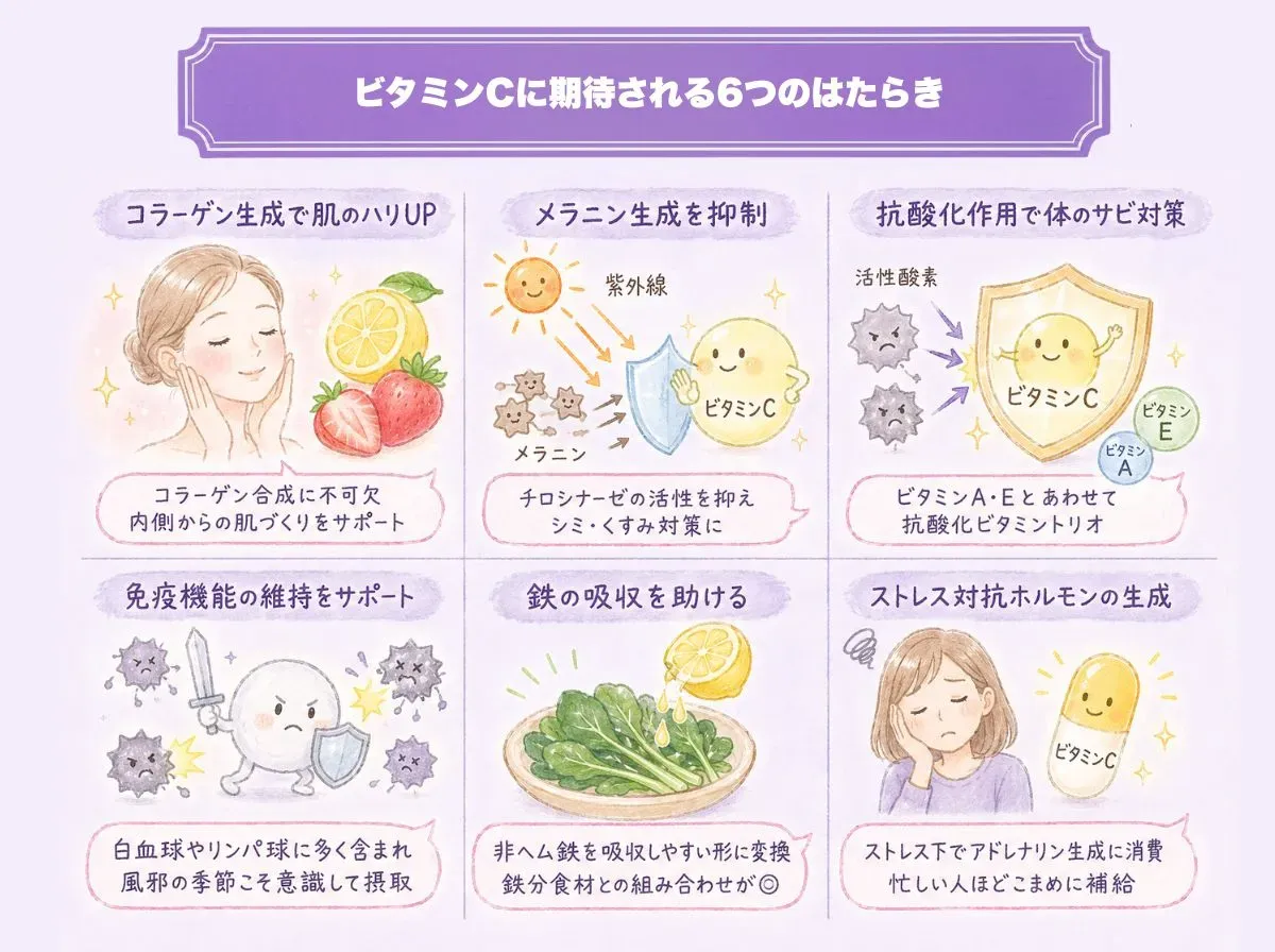 ビタミンCに期待される6つのはたらき