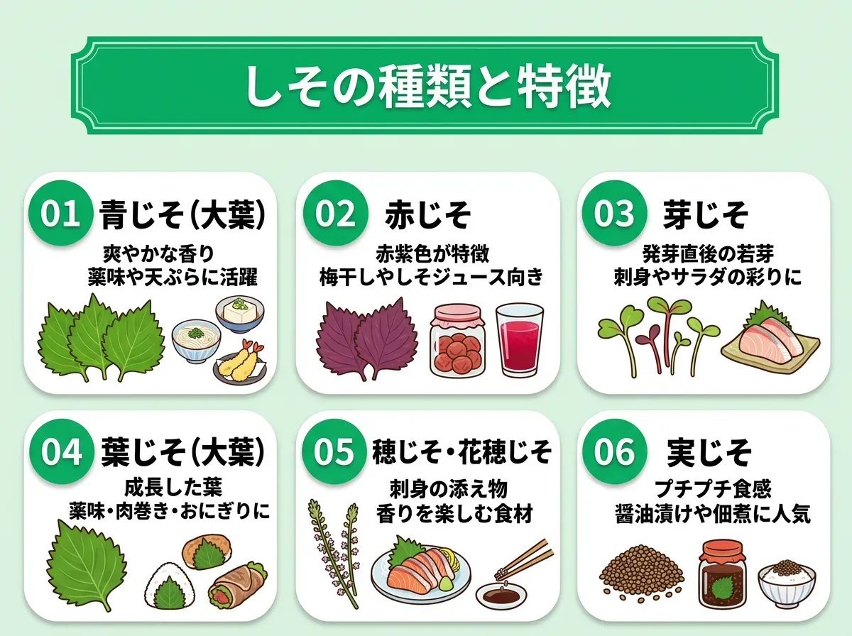 しその種類と特徴