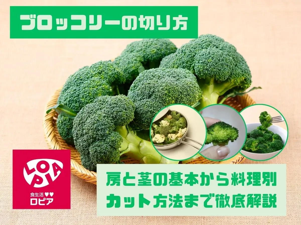 ブロッコリーの切り方|房と茎の基本から料理別カット方法まで徹底解説