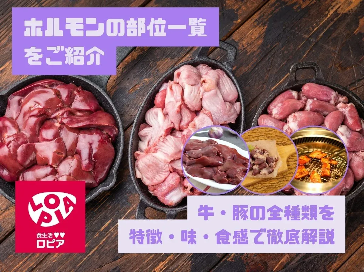 ホルモンの部位一覧をご紹介|牛・豚の全種類を特徴・味・食感で徹底解説