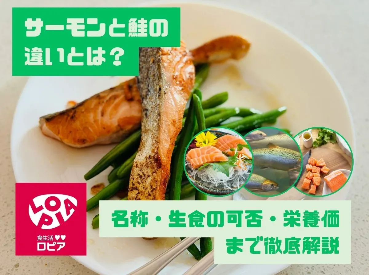 サーモンと鮭の違いとは?名称・生食の可否・栄養価まで徹底解説