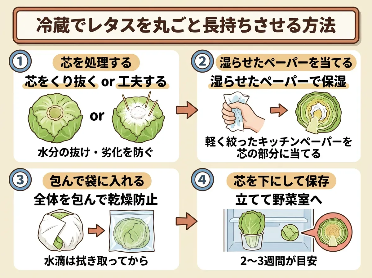 冷凍でレタスを丸ごと長持ちさせる方法