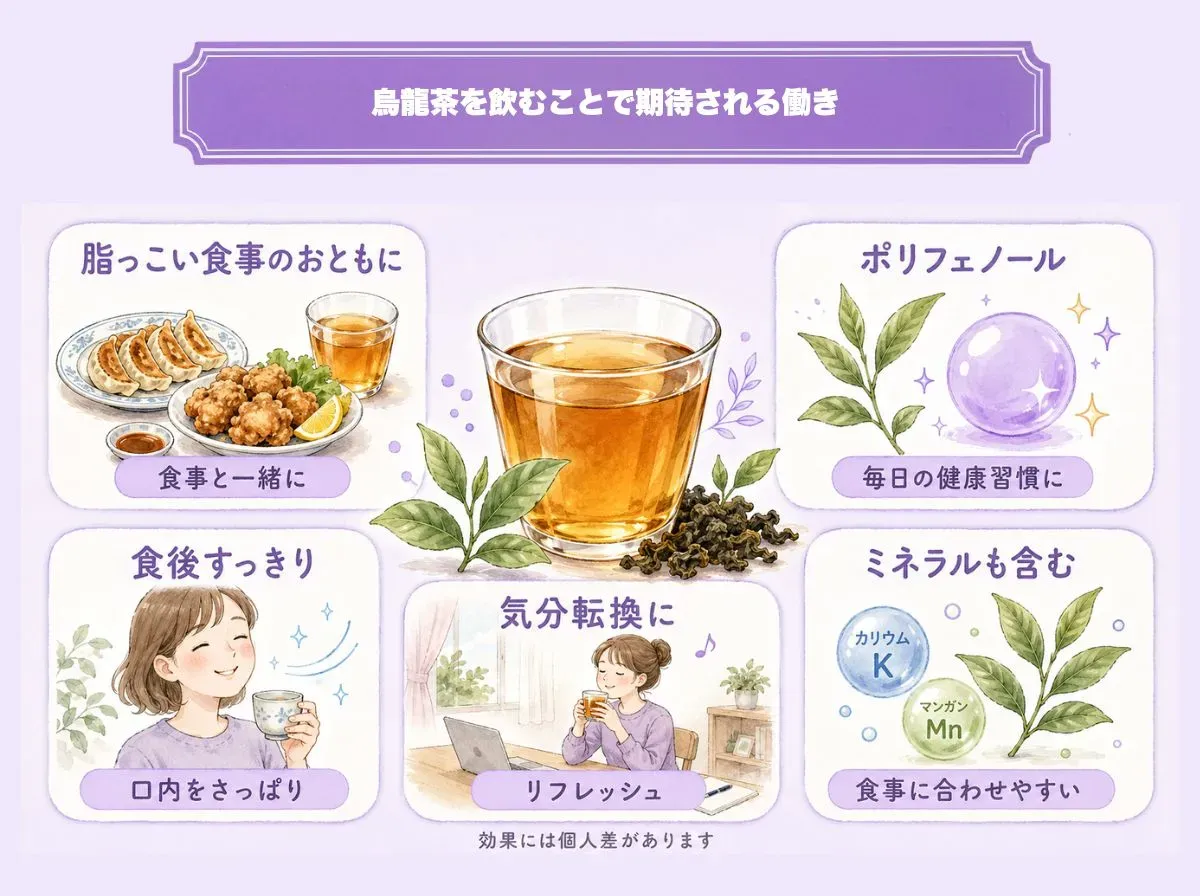 烏龍茶を飲むことで期待される働き