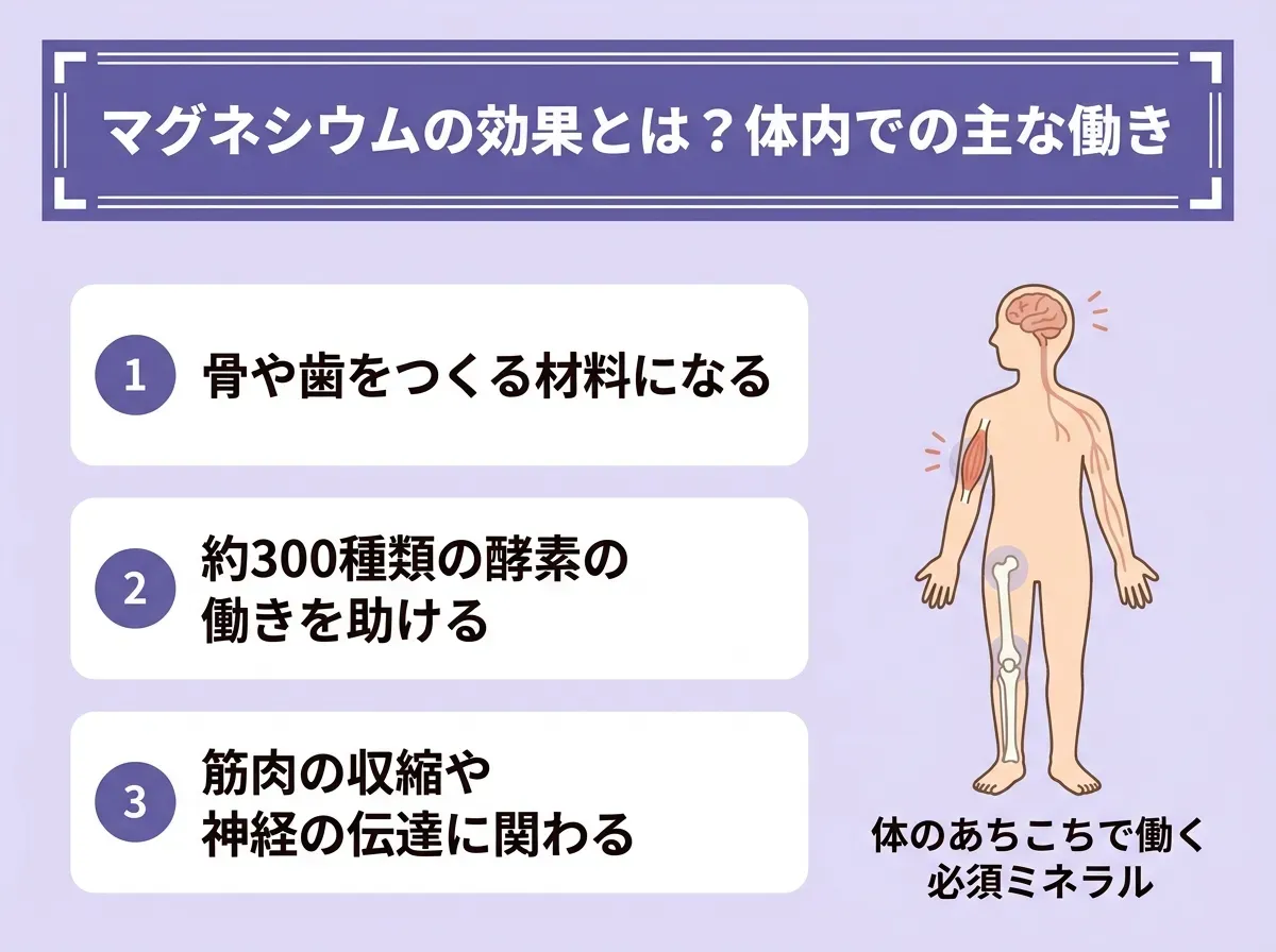 マグネシウムの効果とは?体内での主な働き