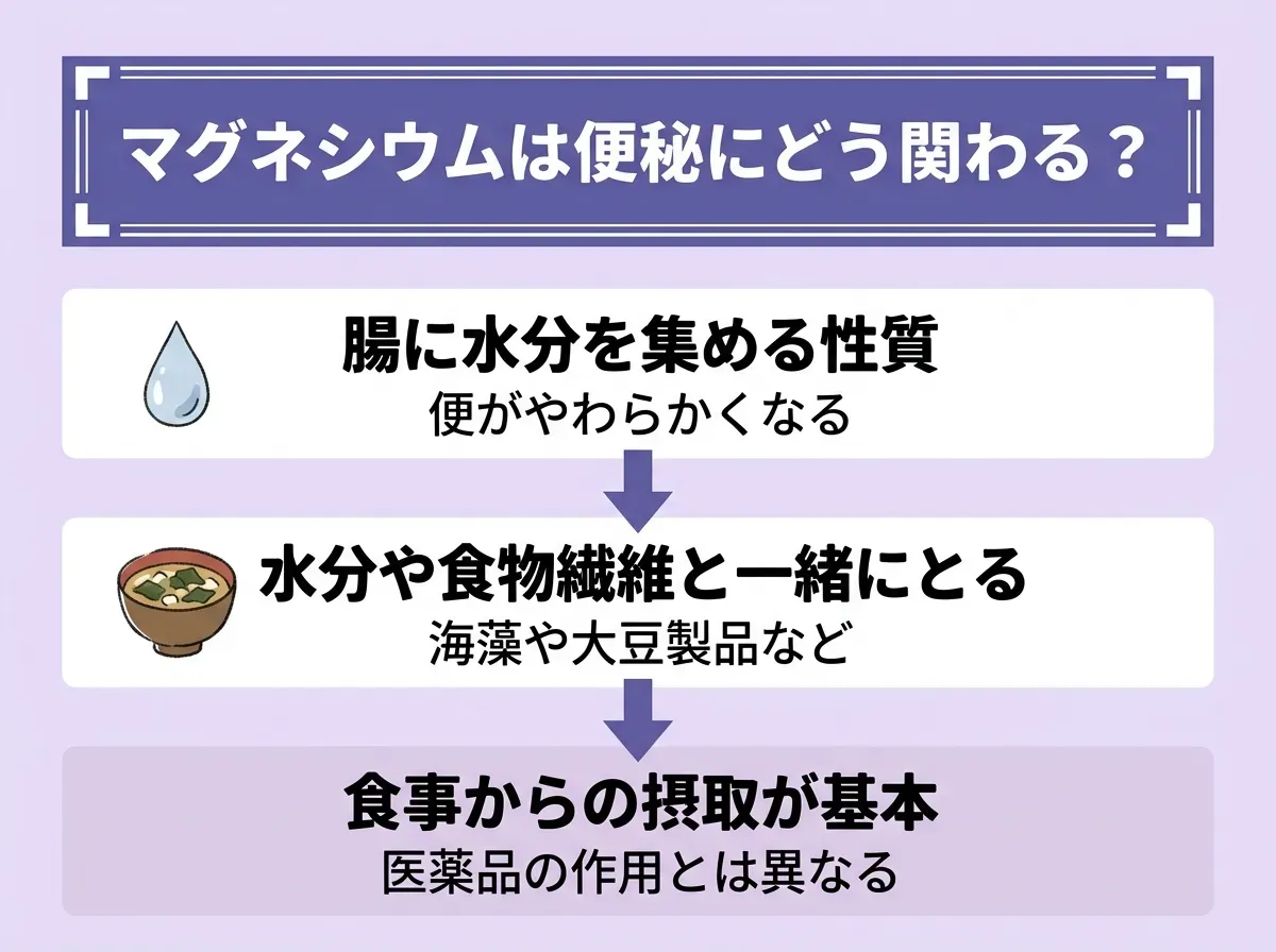 マグネシウムは便秘にどう関わる?