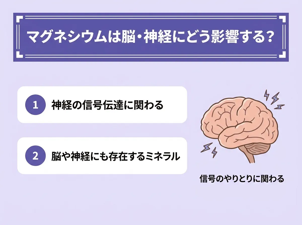 マグネシウムは脳・神経にどう影響する?