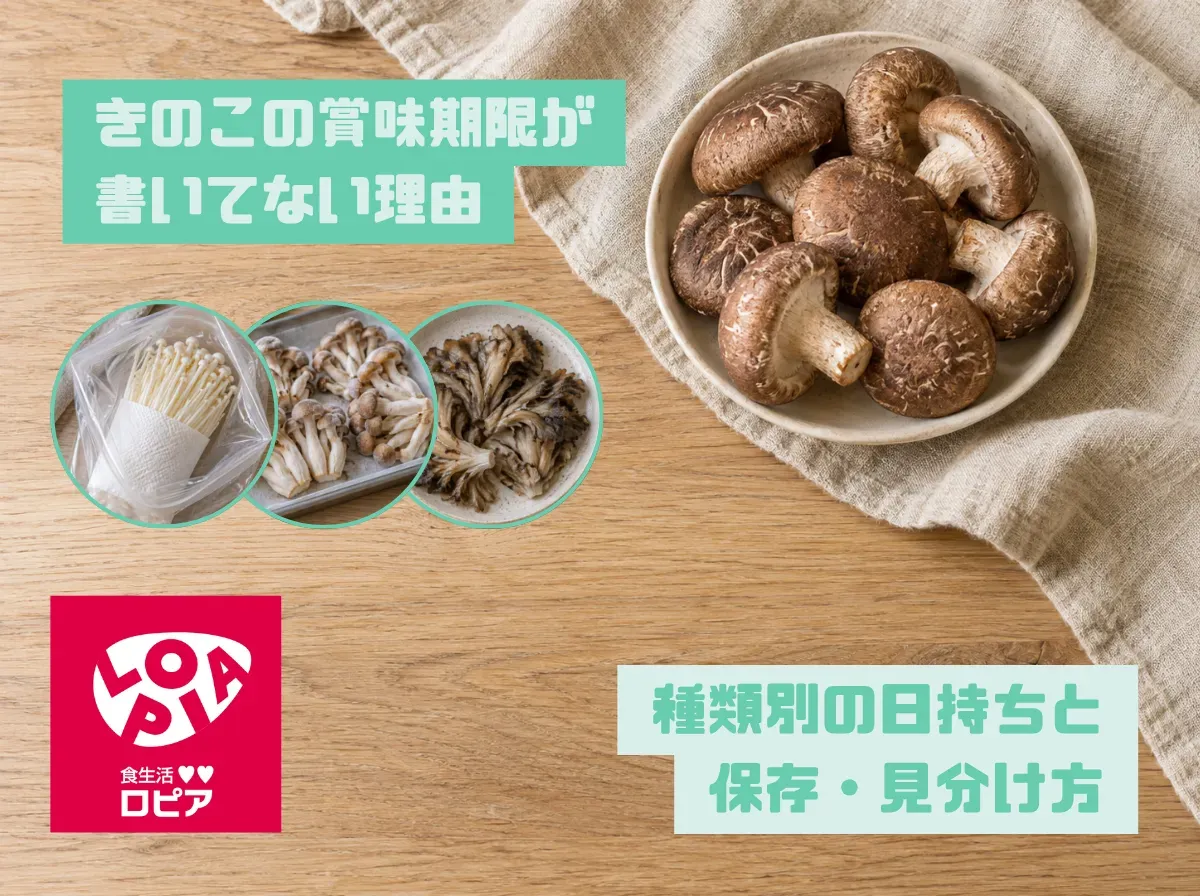 きのこの賞味期限が書いてない理由｜種類別の日持ちと保存・見分け方