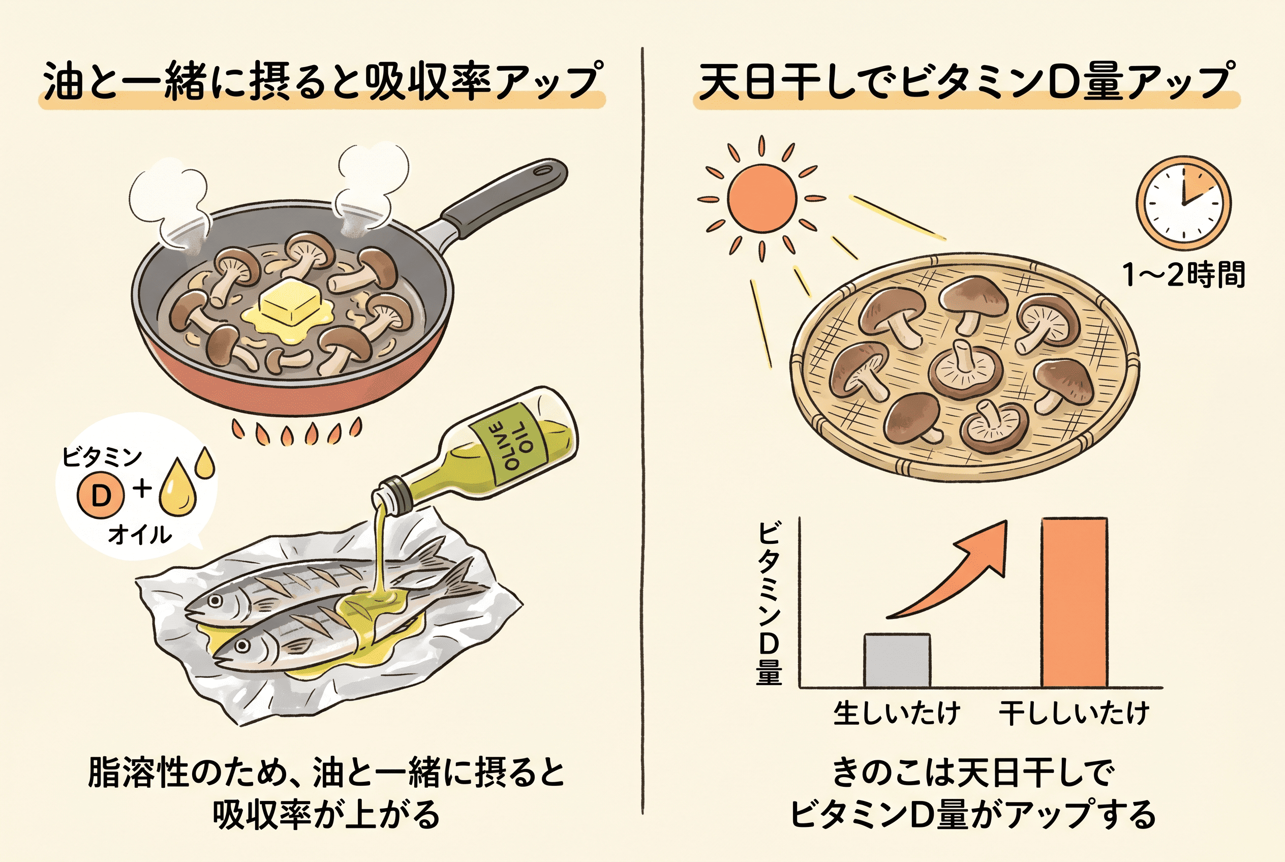 ビタミンDを効率よく摂取するコツを紹介