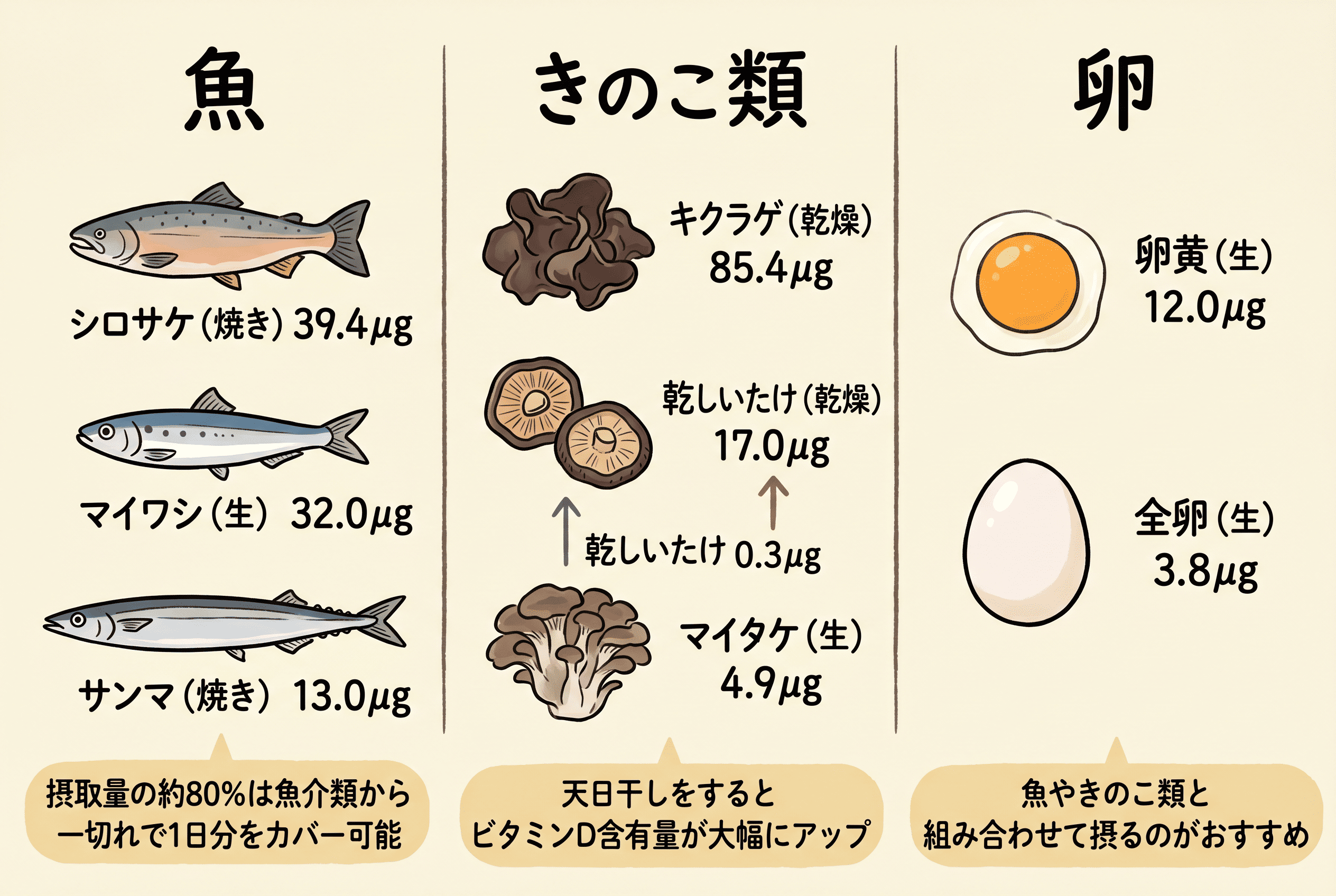 ビタミンDを多く含む食べ物と含有量を紹介