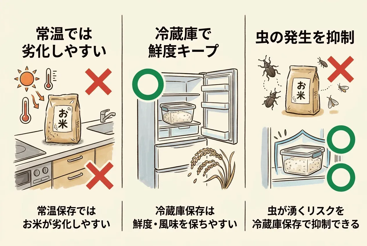 お米は冷蔵庫で保存するのがおすすめな理由とは