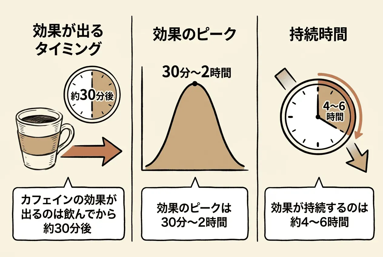 コーヒーの効果が出る時間と持続時間