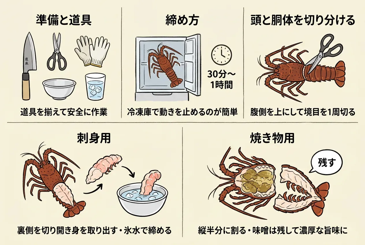 家庭でできる伊勢海老の簡単なさばき方