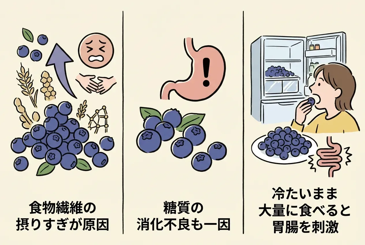 ブルーベリーで下痢や腹痛が起きる原因