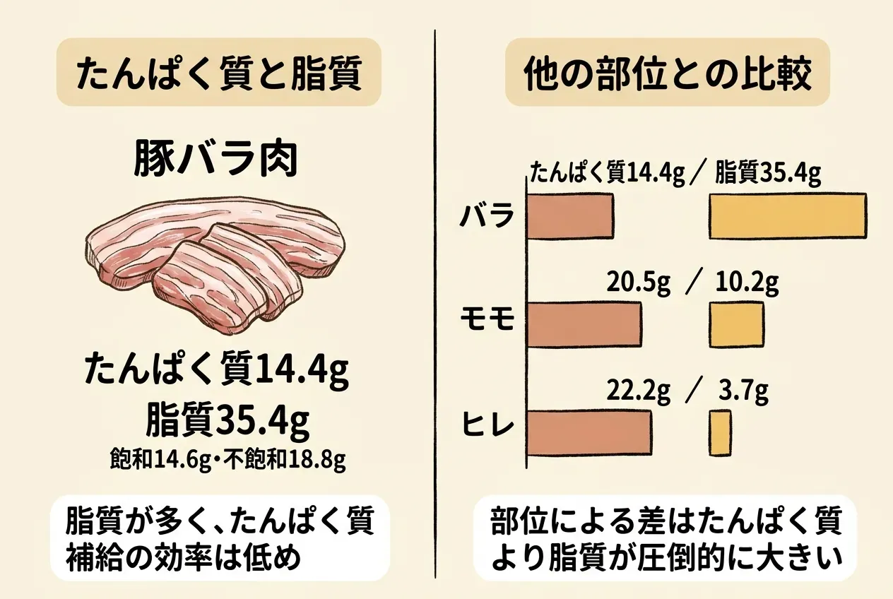 豚バラのたんぱく質と脂質を詳しく解説
