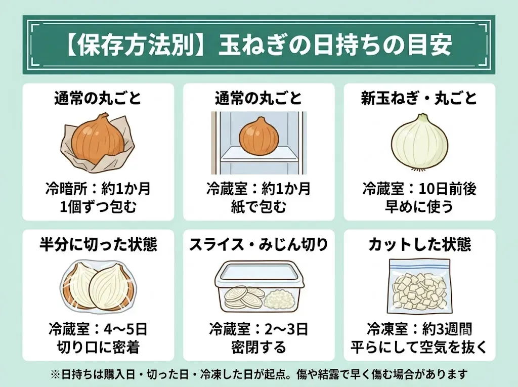 【保存方法別】玉ねぎの日持ちの目安