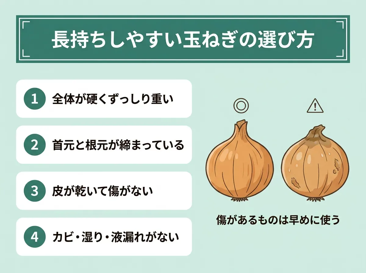 長持ちしやすい玉ねぎの選び方