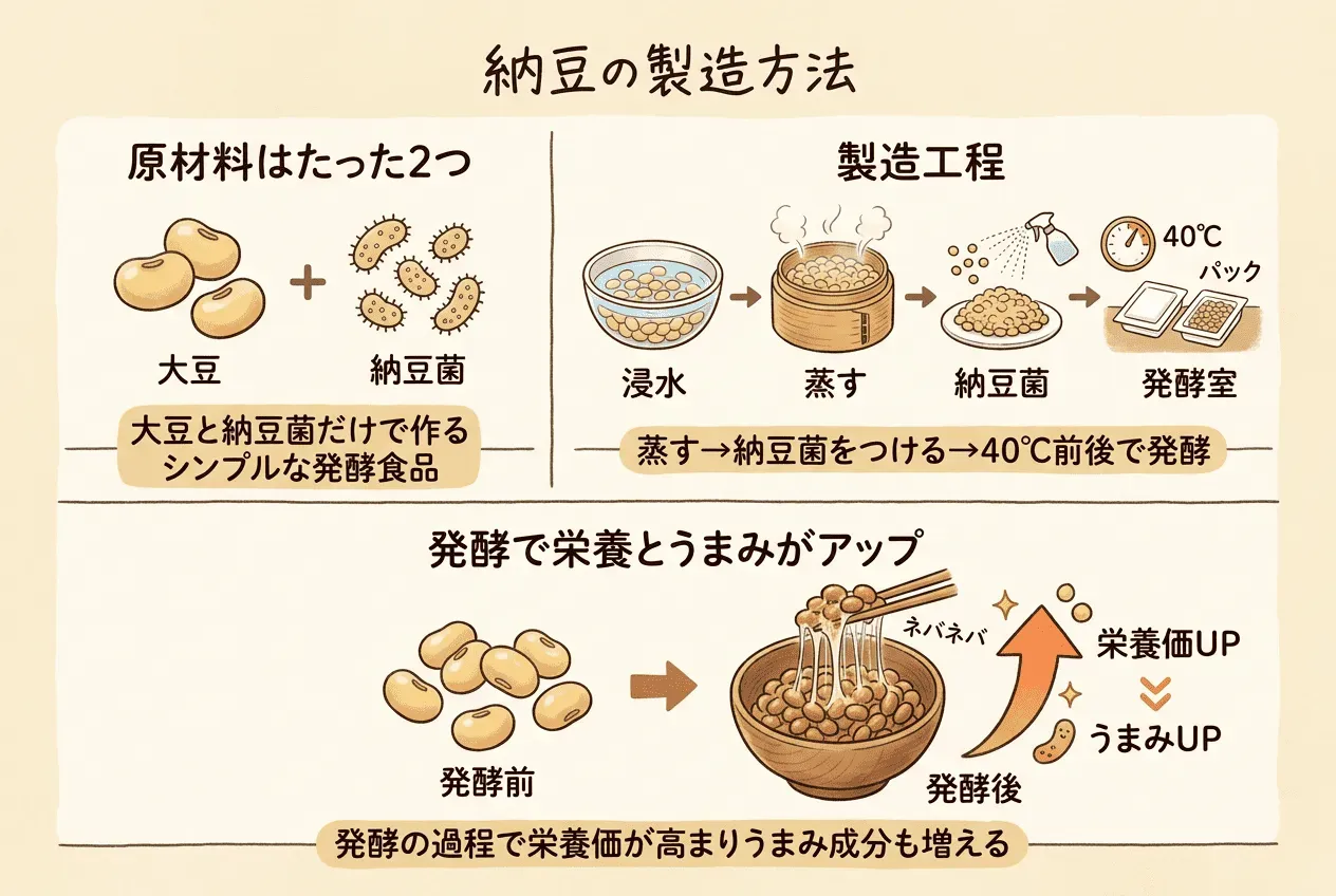 納豆はどうやって作られる?製造方法をわかりやすく解説