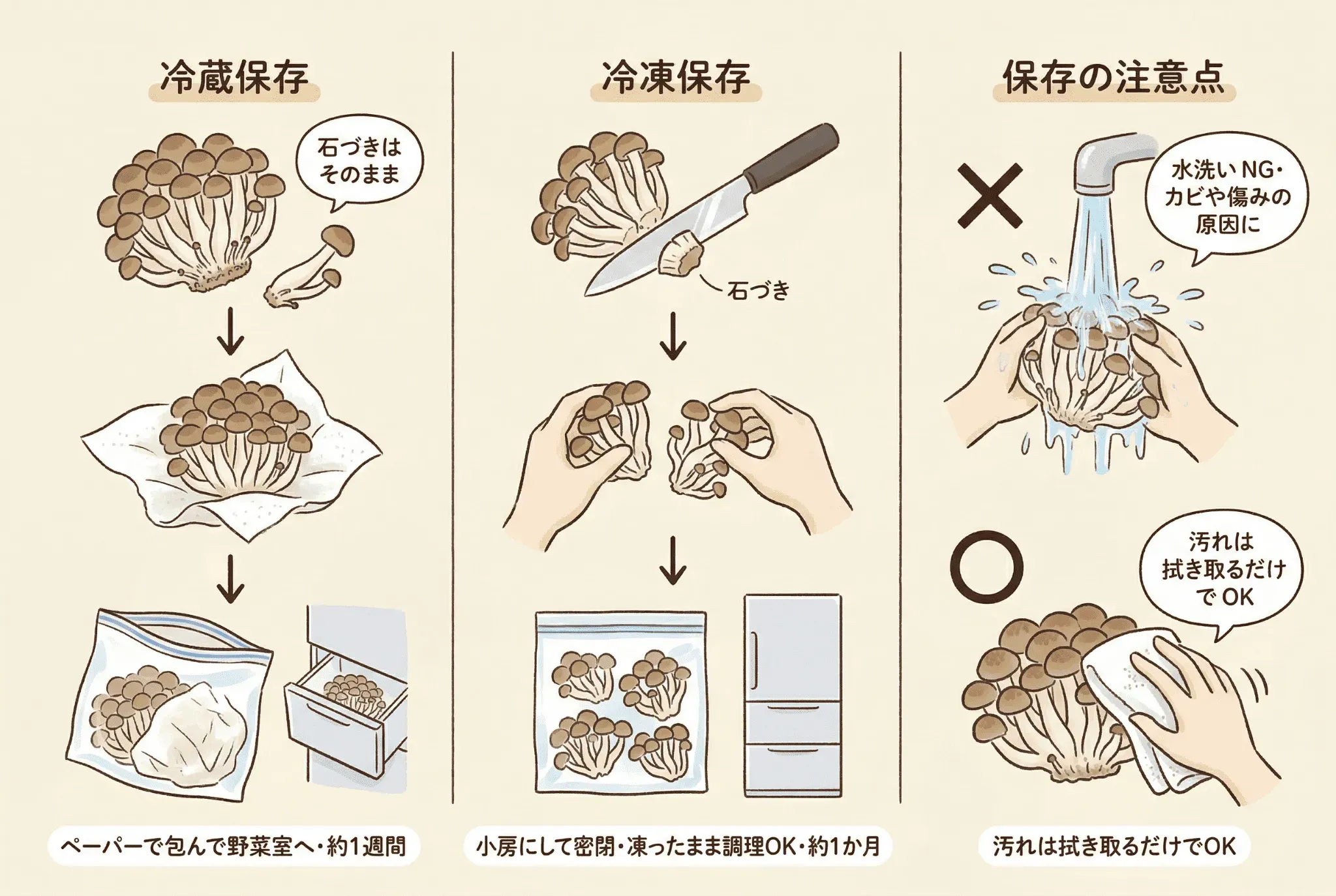 しめじを長持ちさせる正しい保存方法