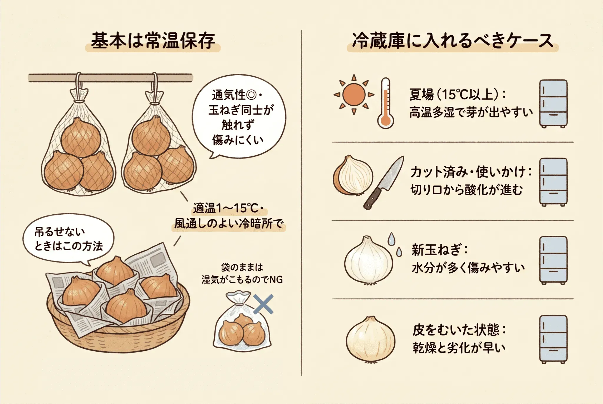 玉ねぎは冷蔵庫に入れるべき?常温保存との使い分け
