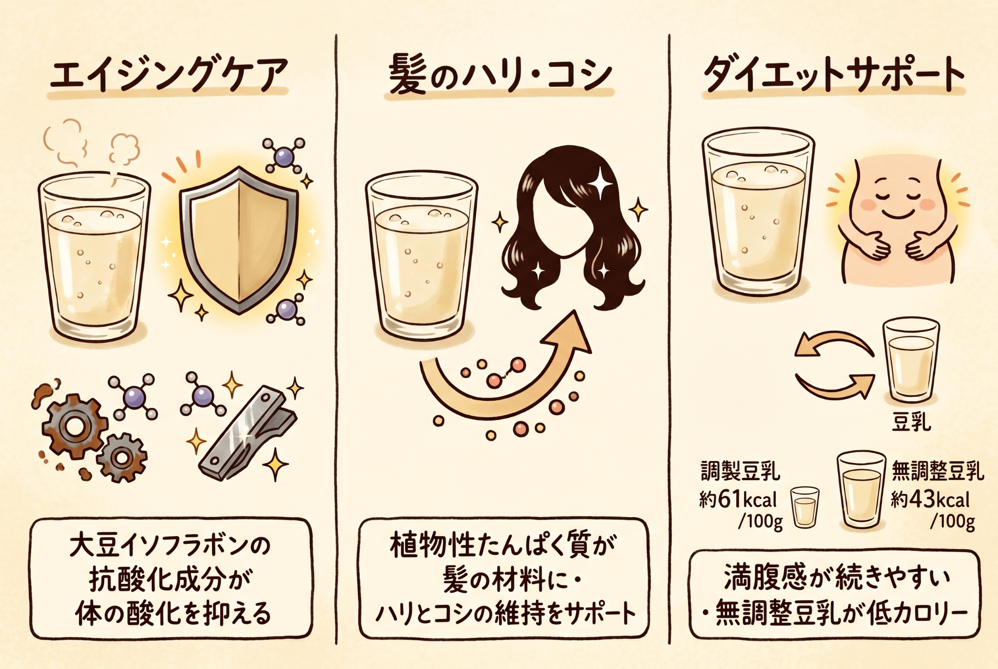 【美容・ダイエット面】豆乳に期待できる効果