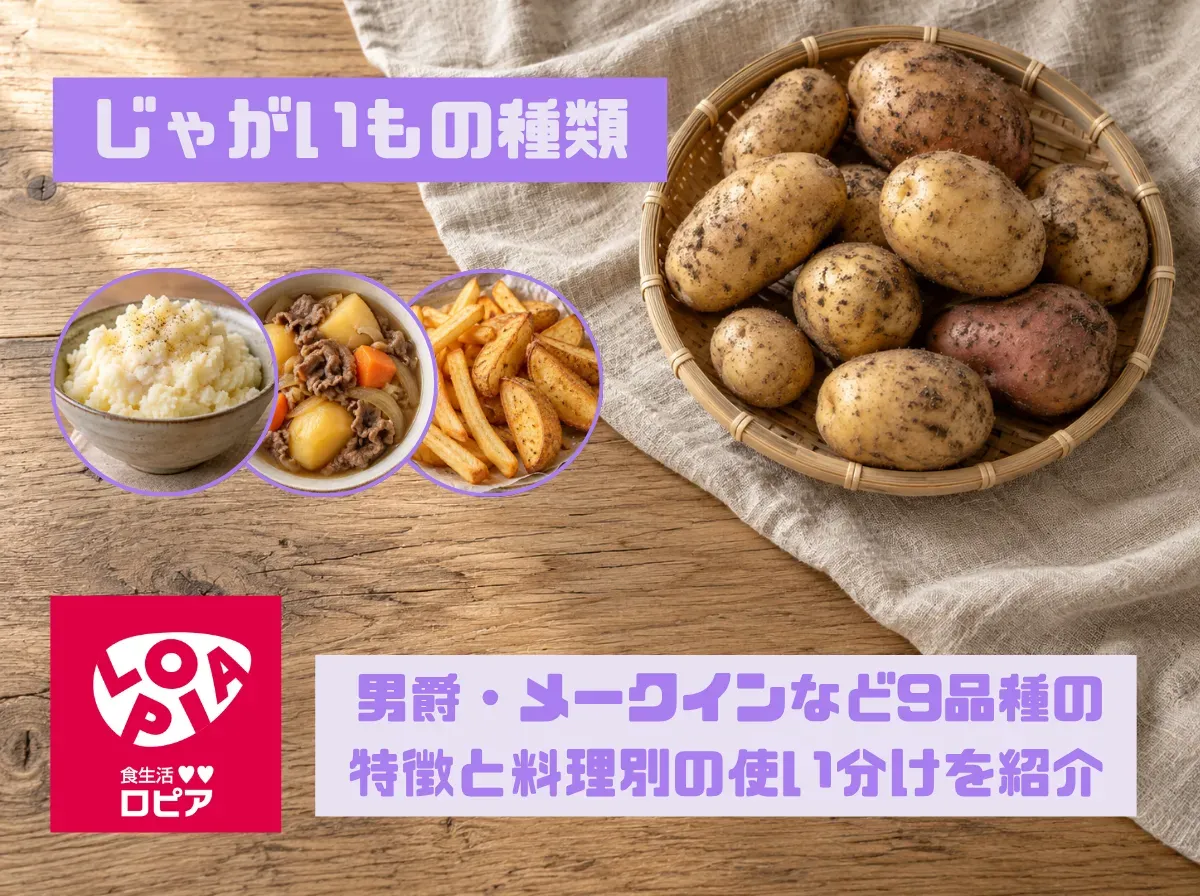 じゃがいもの種類｜男爵・メークインなど9品種の特徴と料理別の使い分けを紹介
