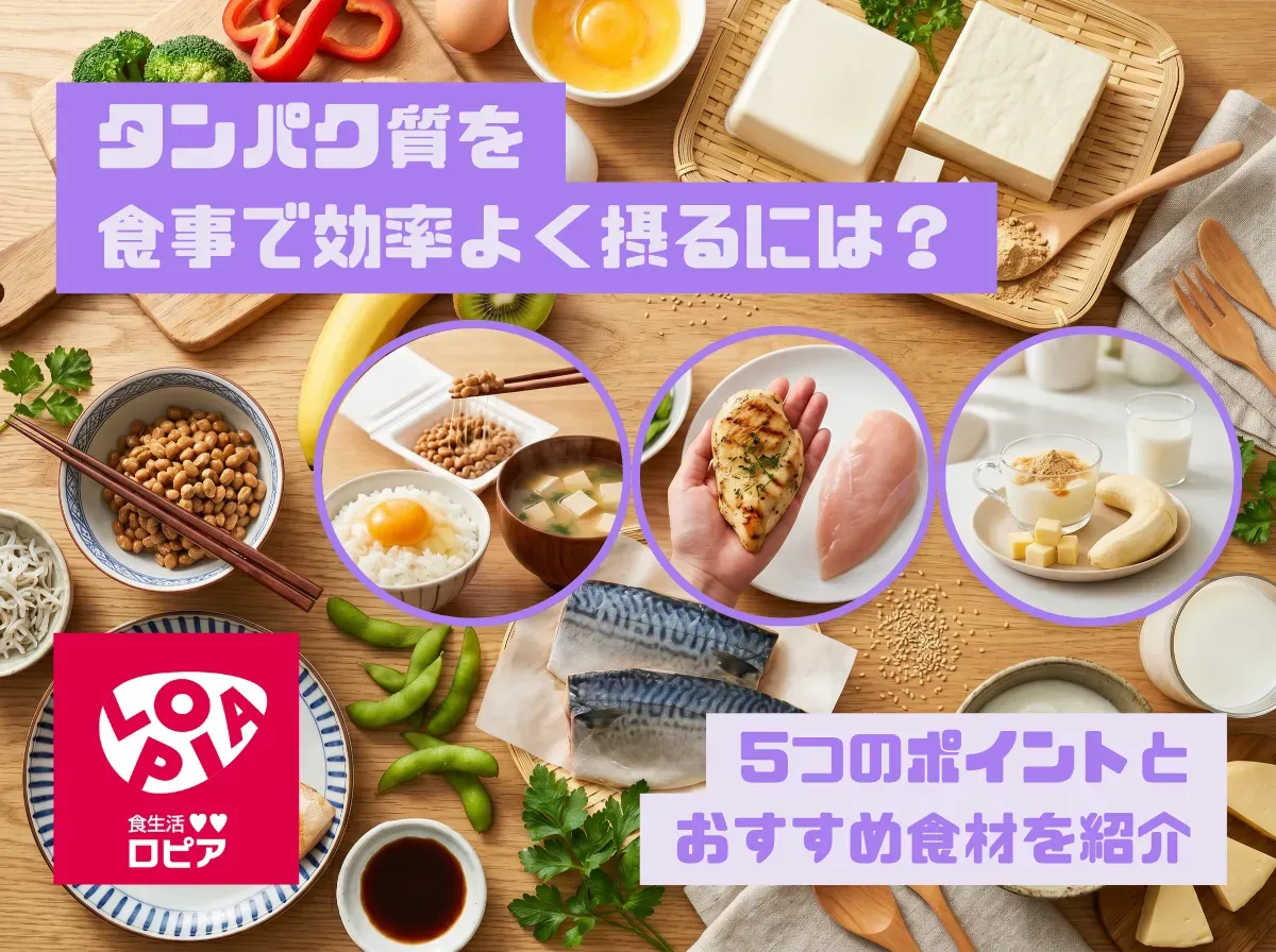 タンパク質を食事で効率よく摂るには?5つのポイントとおすすめ食材を紹介
