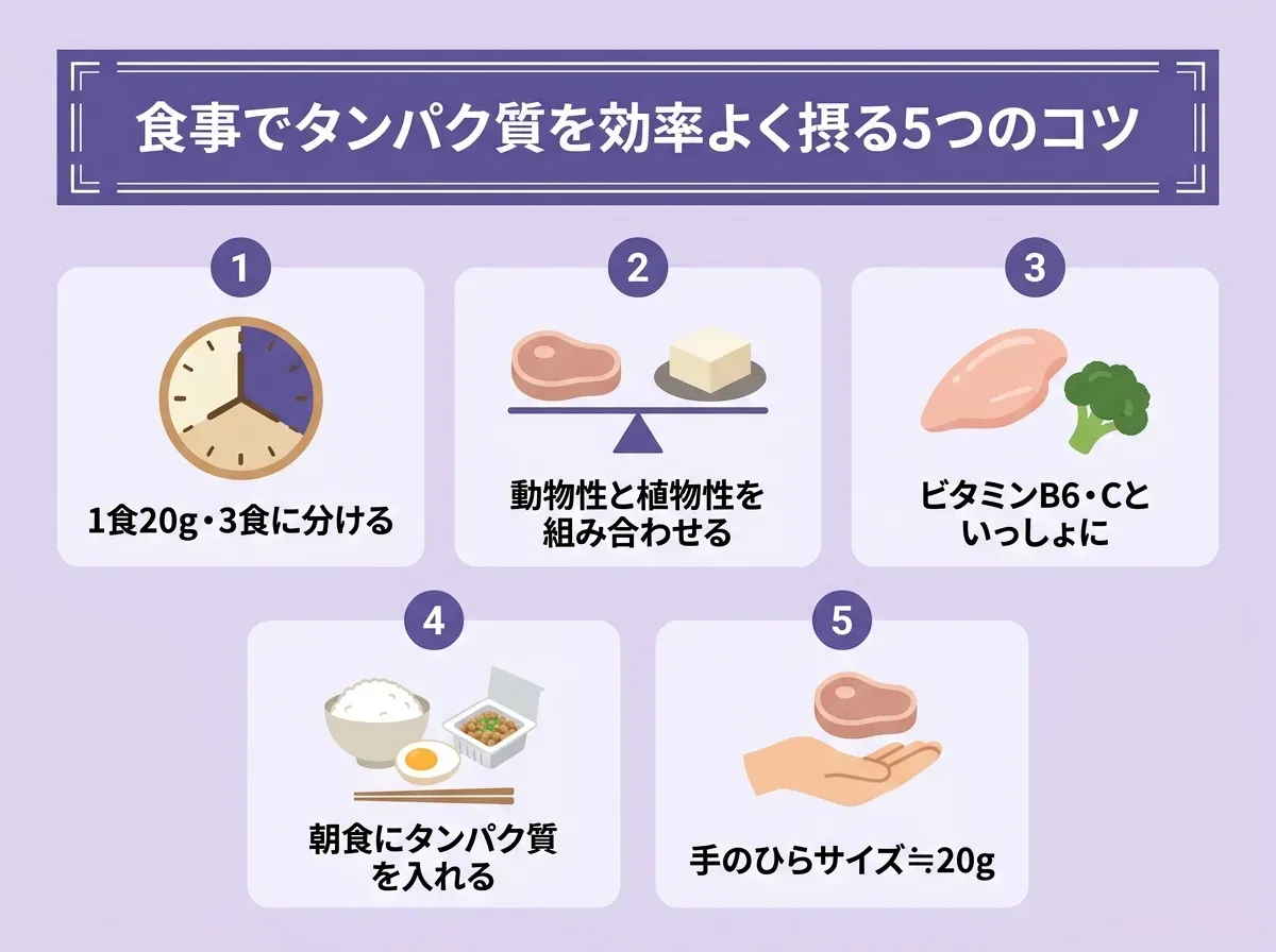 食事でタンパク質を効率よく摂る5つのコツ