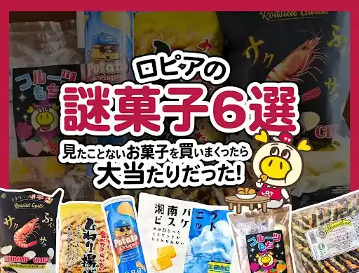 ロピアの謎お菓子6選