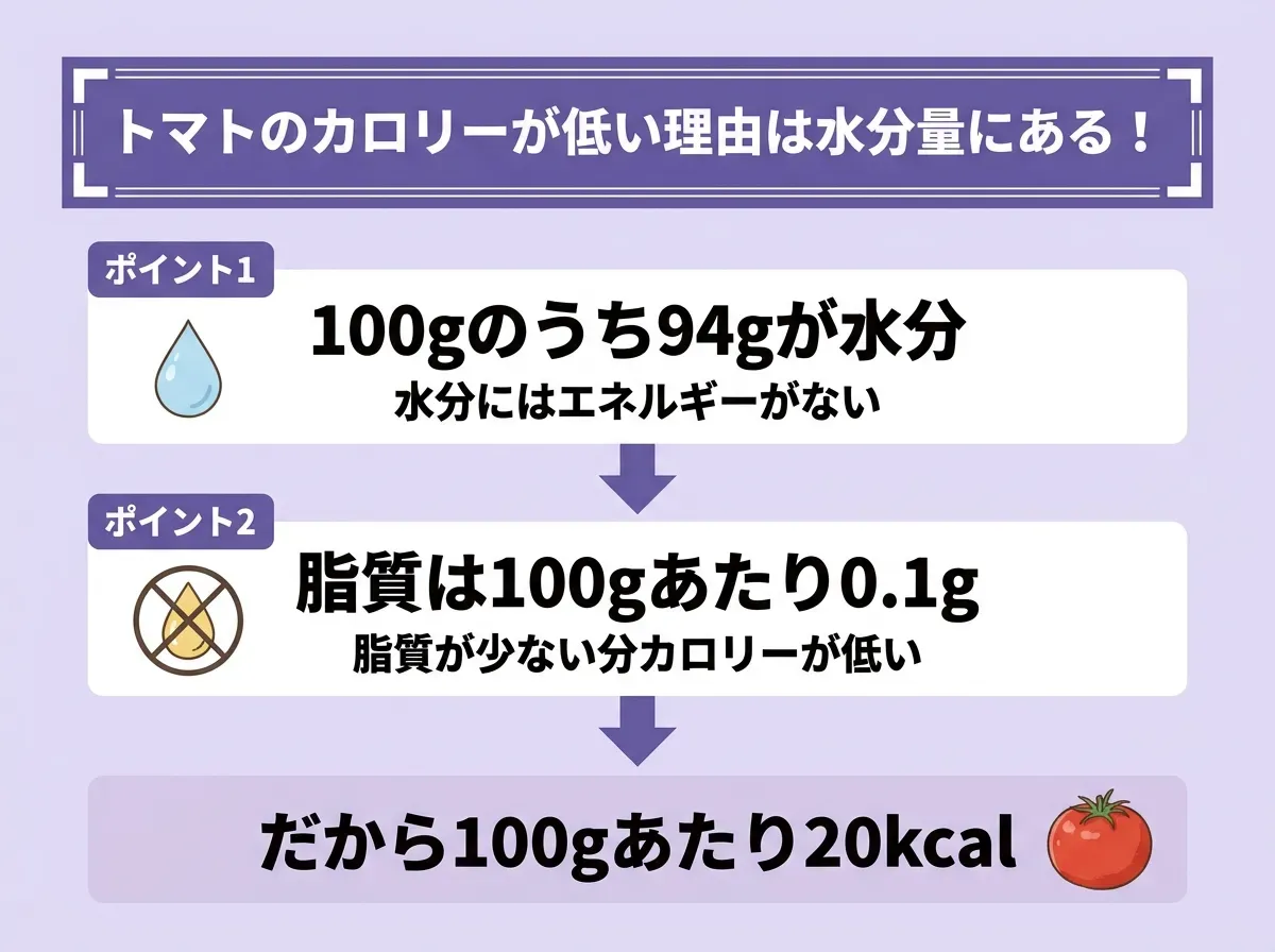 トマトのカロリーが低い理由は水分量にある!