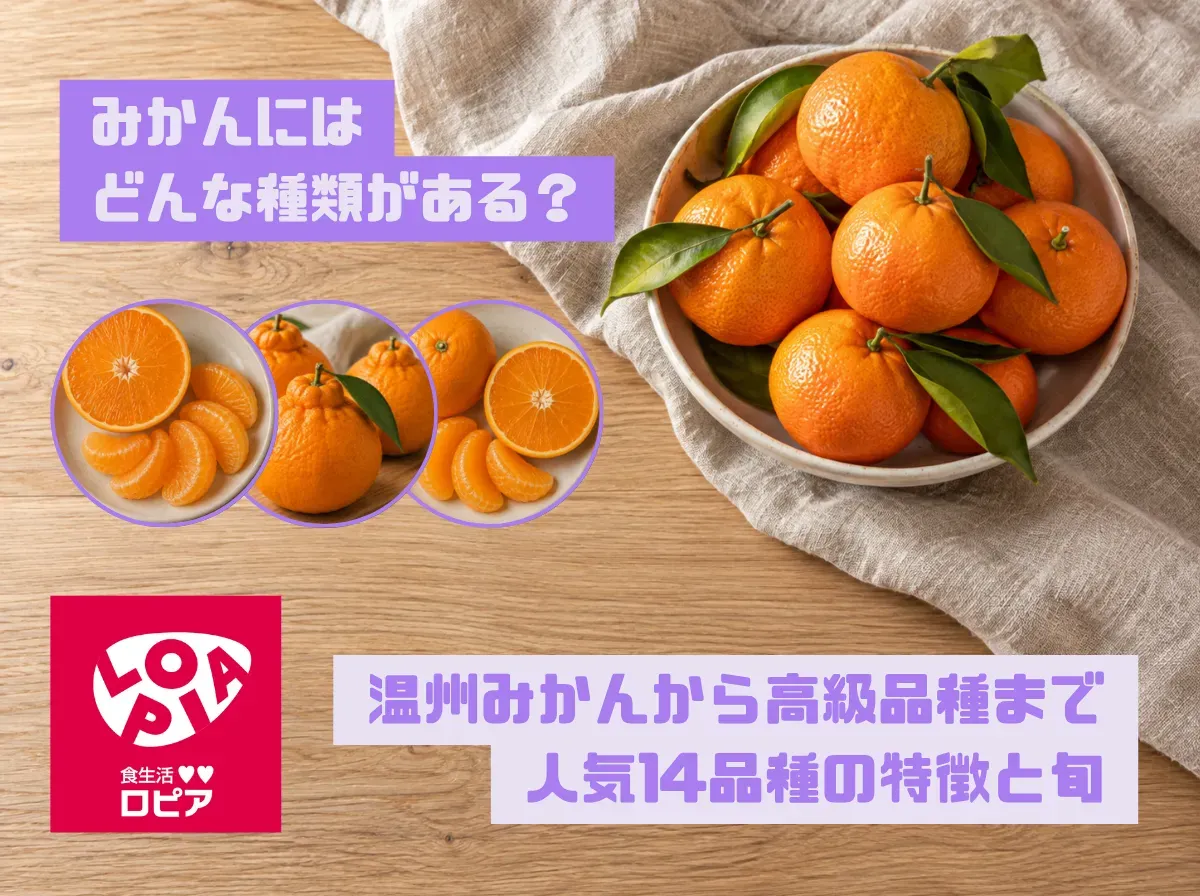 みかんにはどんな種類がある？温州みかんから高級品種まで人気14品種の特徴と旬