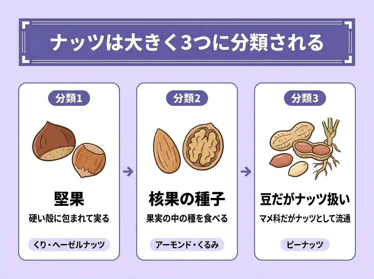 ナッツは大きく3つに分類される