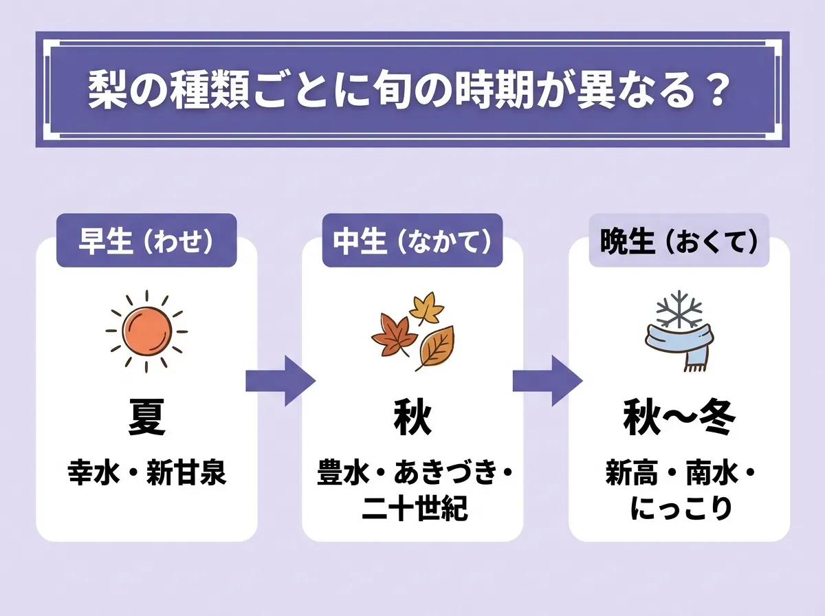 梨の種類ごとに旬の時期が異なる?