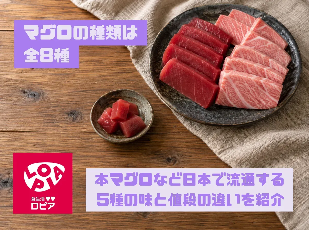 マグロの種類は全8種｜本マグロなど日本で流通する5種の味と値段の違いを紹介