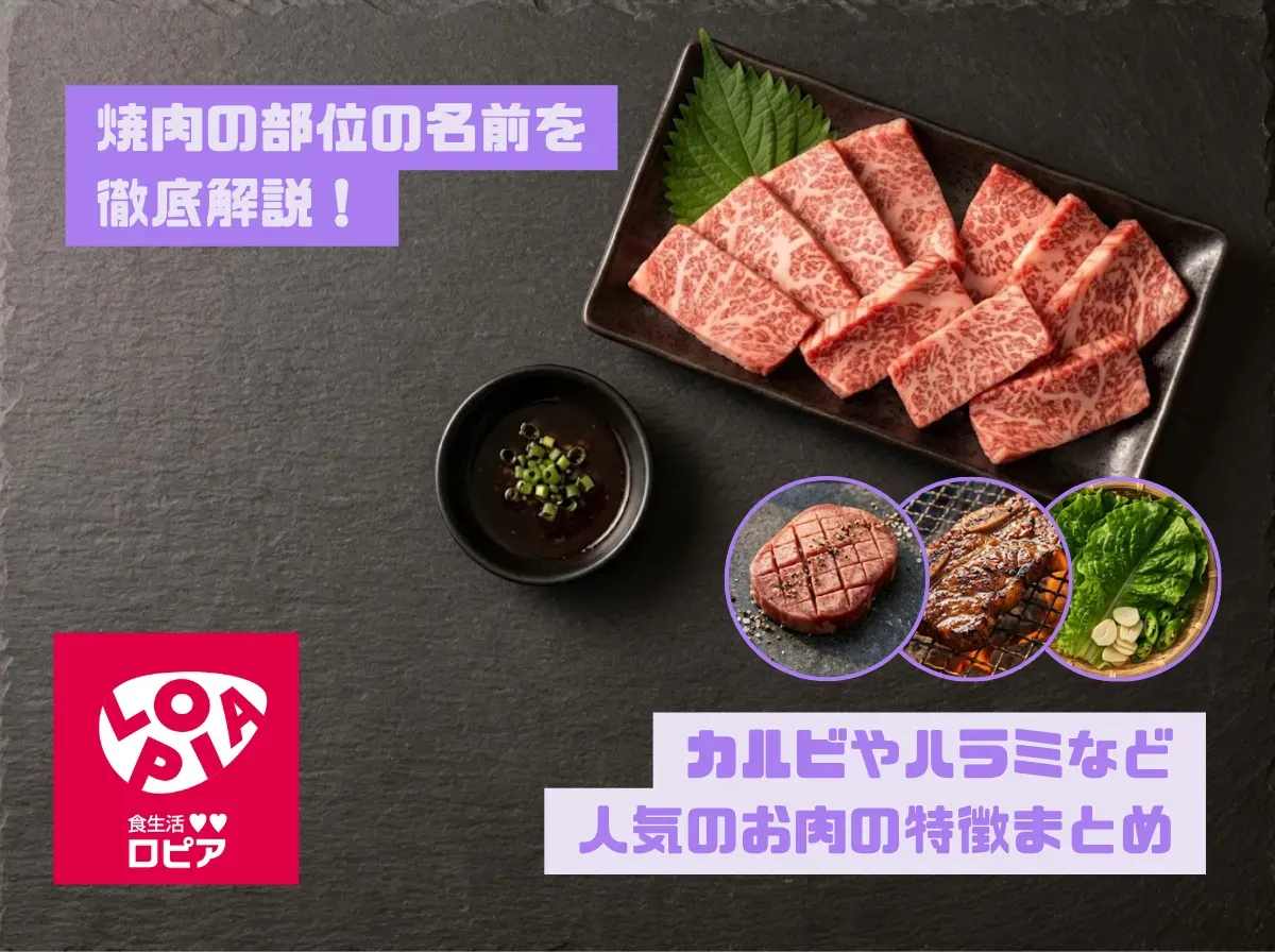 焼肉の部位の名前を徹底解説！カルビやハラミなど人気のお肉の特徴まとめ