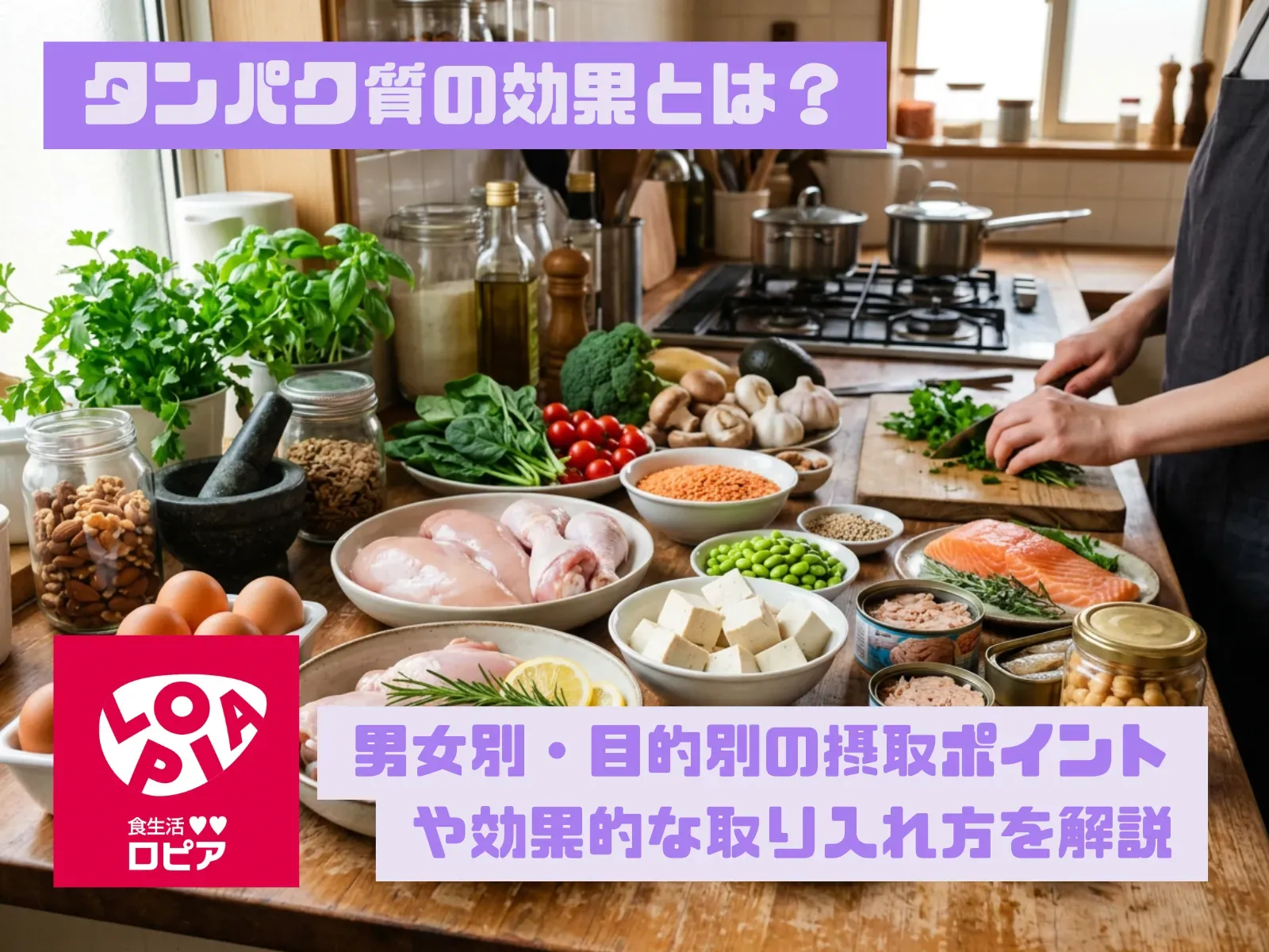 タンパク質の効果とは？男女別・目的別の摂取ポイントや効果的な取り入れ方を解説